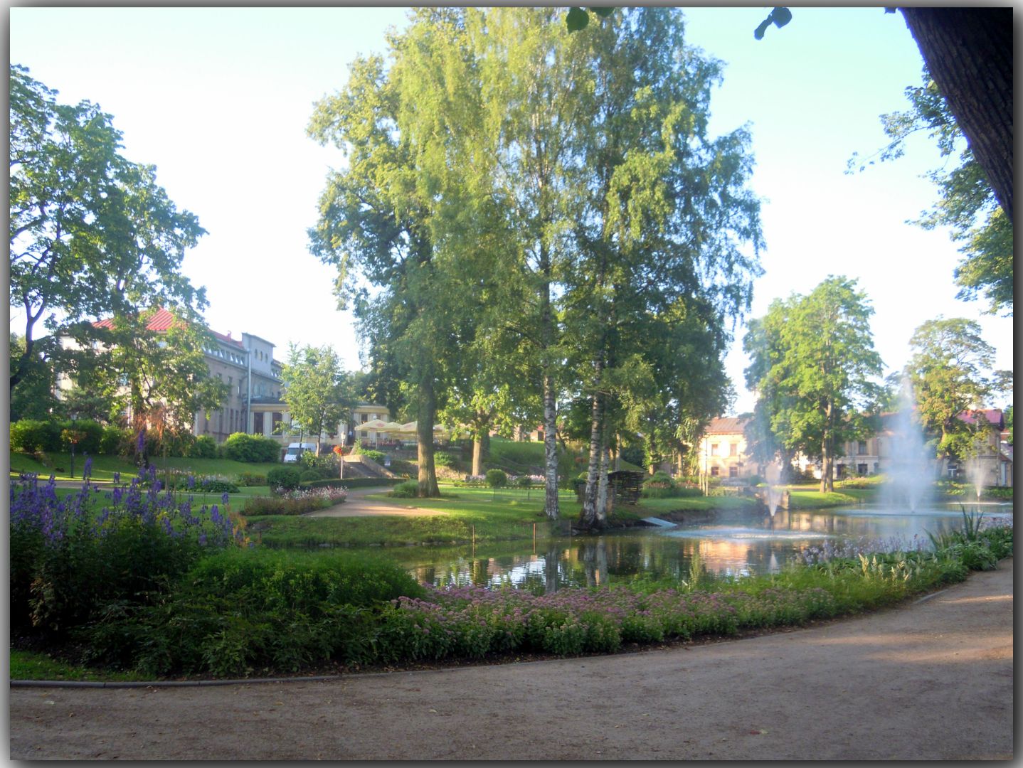 50-DSCN4565  10-08-2015 23-58-32